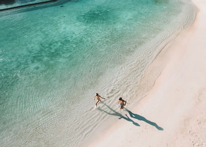 Hard Rock Riviera Maya (adults Only) Resort Puerto Aventuras